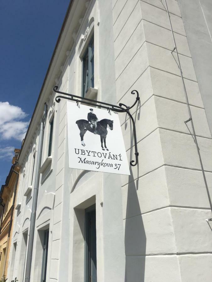 Penzion Masarykova 37 Hluboka Nad Vltavou Exterior photo